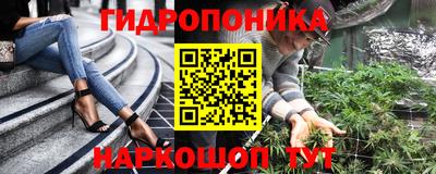 спиды Аргун