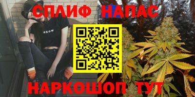 спиды Аргун