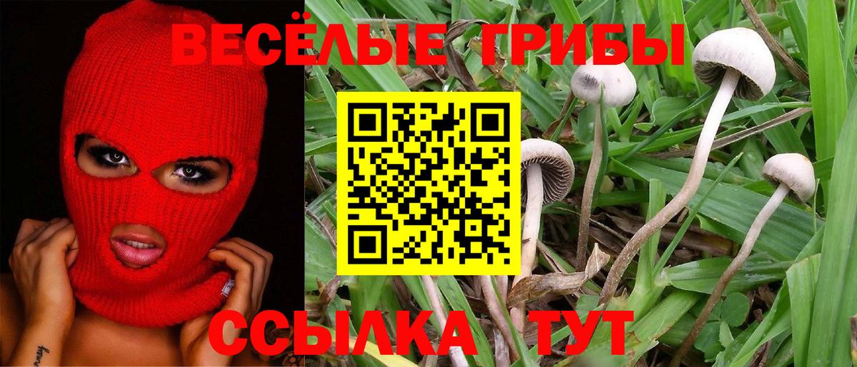 Галлюциногенные грибы MAGIC MUSHROOMS Вышний Волочёк