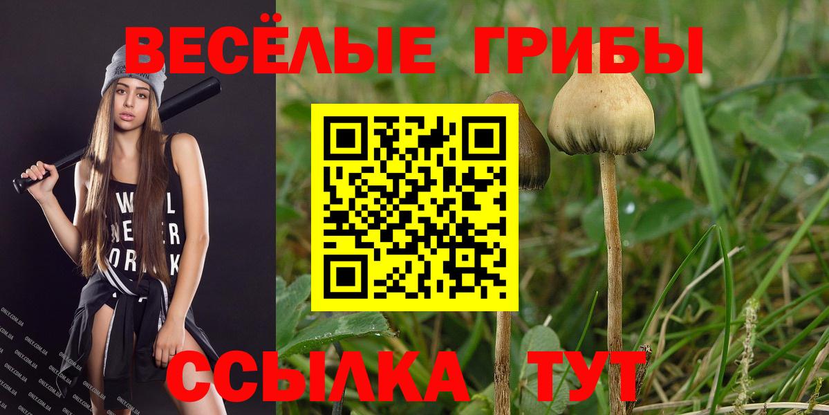 Галлюциногенные грибы Psilocybine cubensis  закладки  Вышний Волочёк  Галлюциногенные грибы прущие грибы  Вход с VPN 