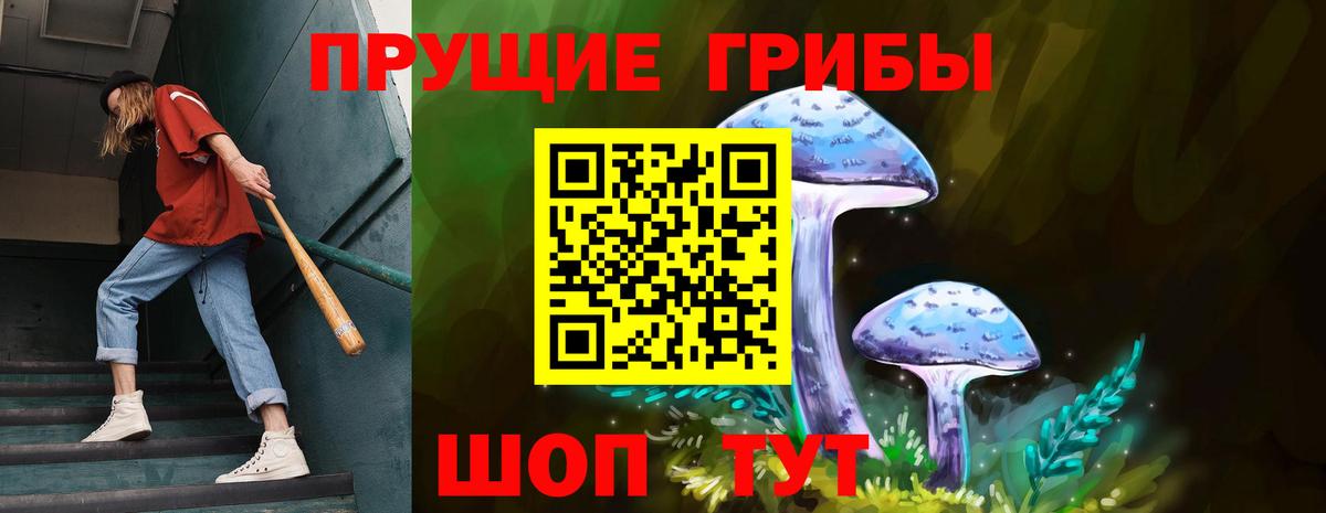 ГАШИШ Вышний Волочёк